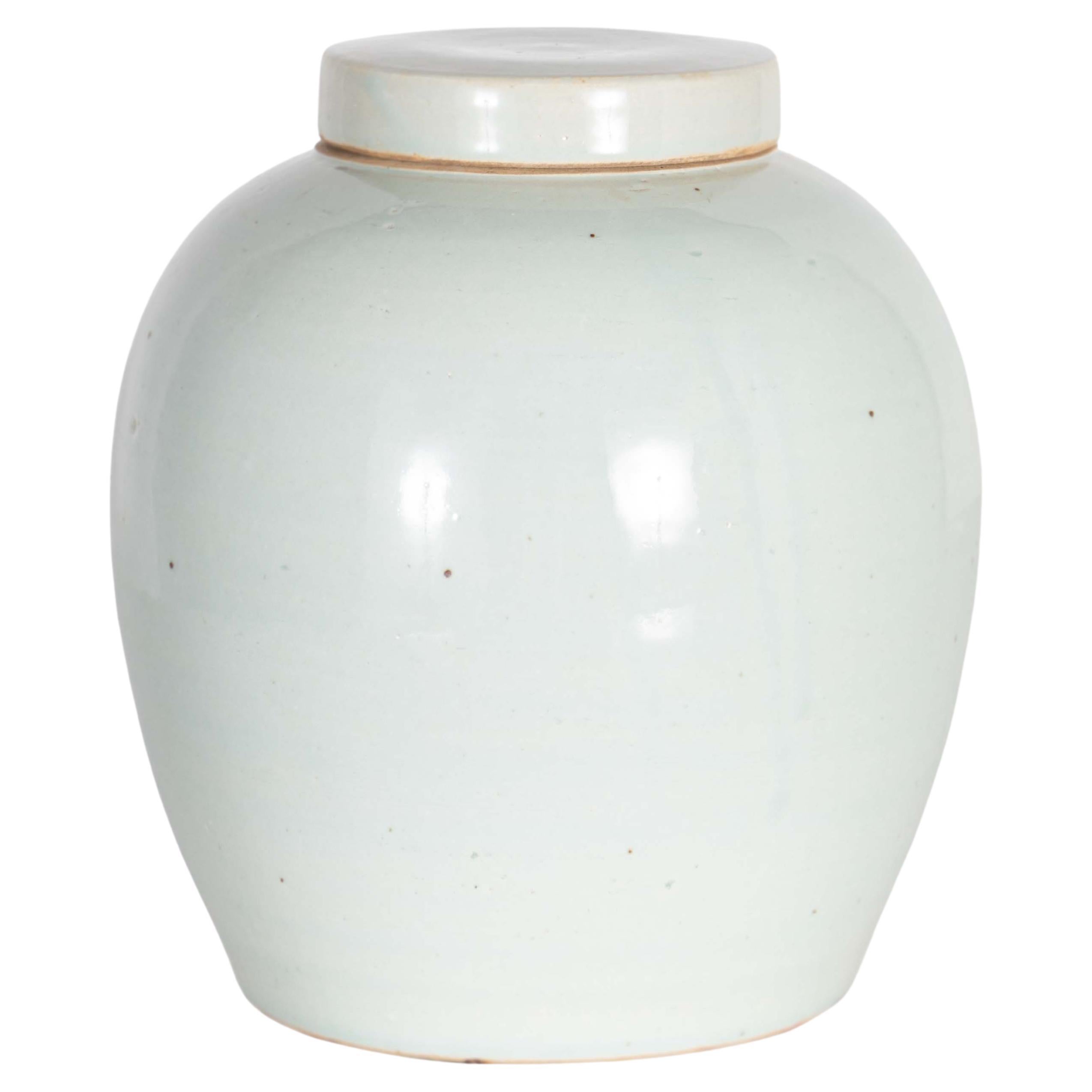 Pale Celadon Crackle Glaze Vase with CAP For Sale