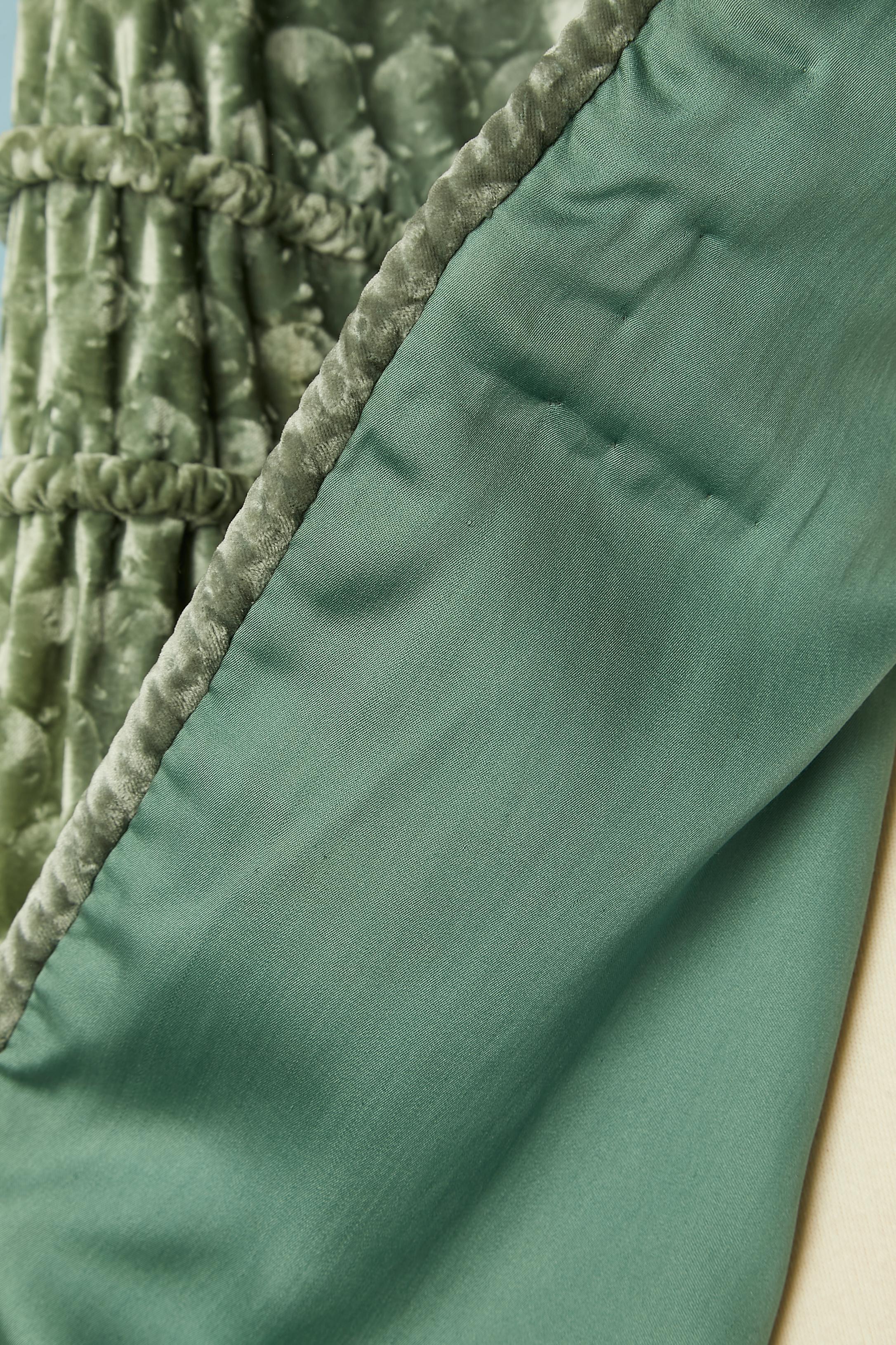 Pale green velvet Opera cape with fur ivory collar Circa 1925 For Sale 1