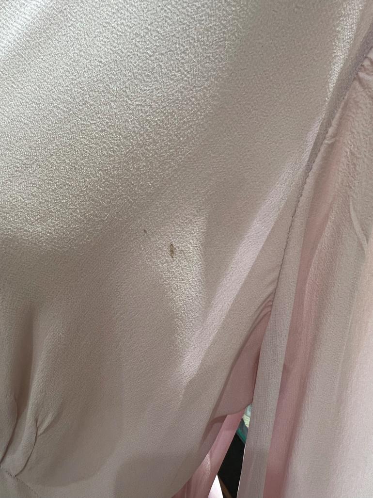 Pale pink chiffon Robe with Iris appliqué Circa 1920 4