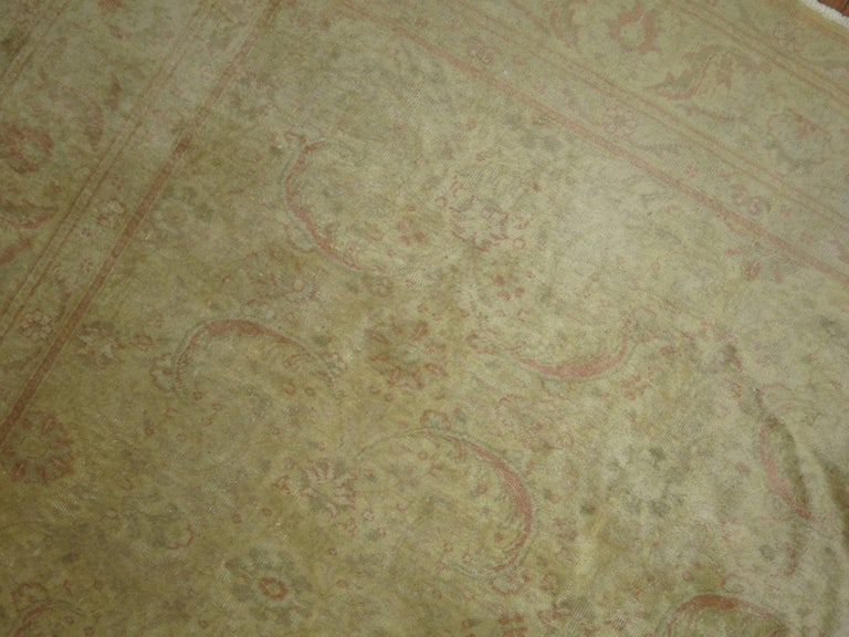 Pale Turkish Room size Rug For Sale at 1stDibs