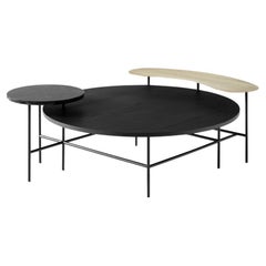 Palette JH25 Black Lacquered Ash Coffee Table by Jaime Hayon for &Tradition