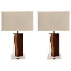 Palissandre and Acrylic Pair Lamps, Indonesia, Contemporary