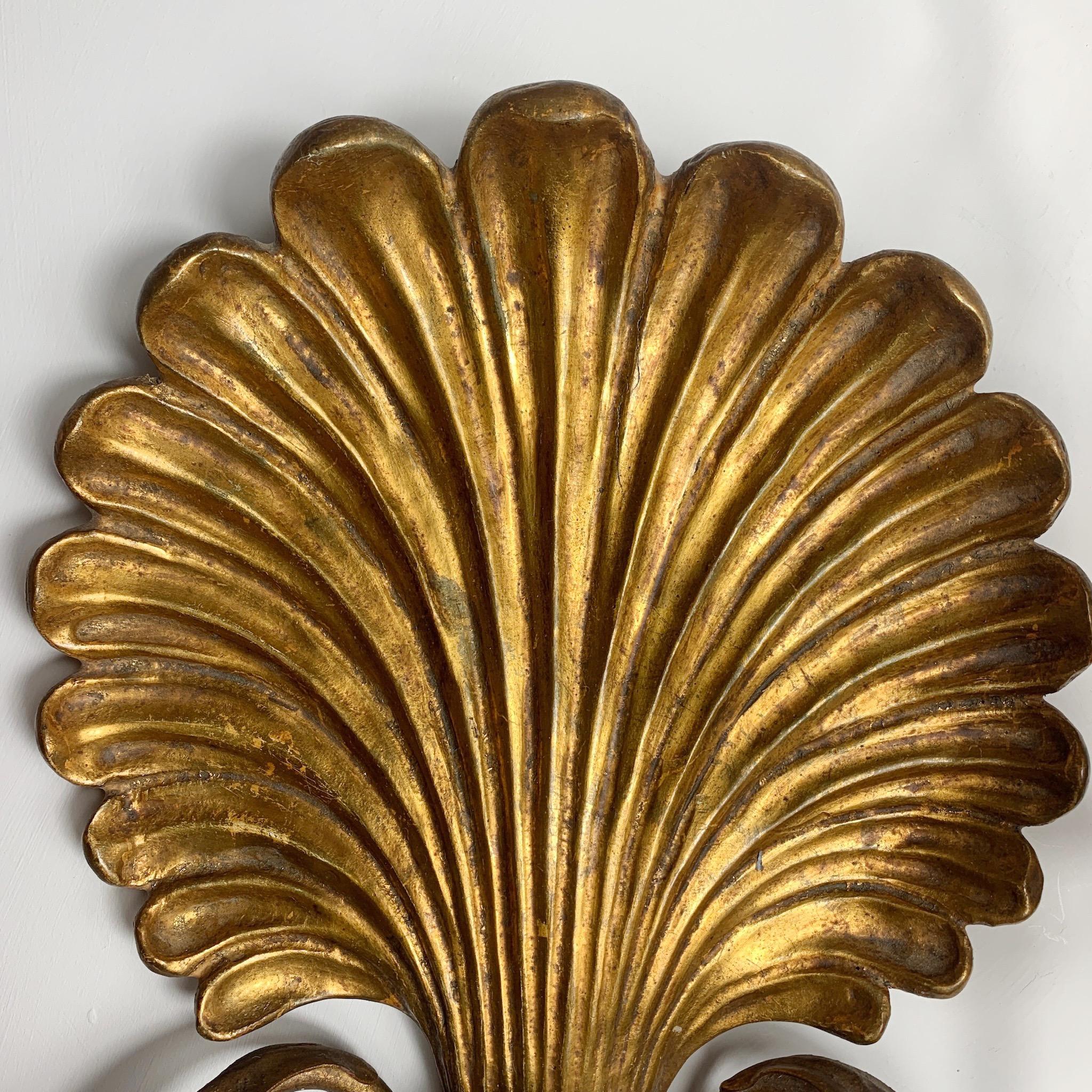 shell shaped wall lights