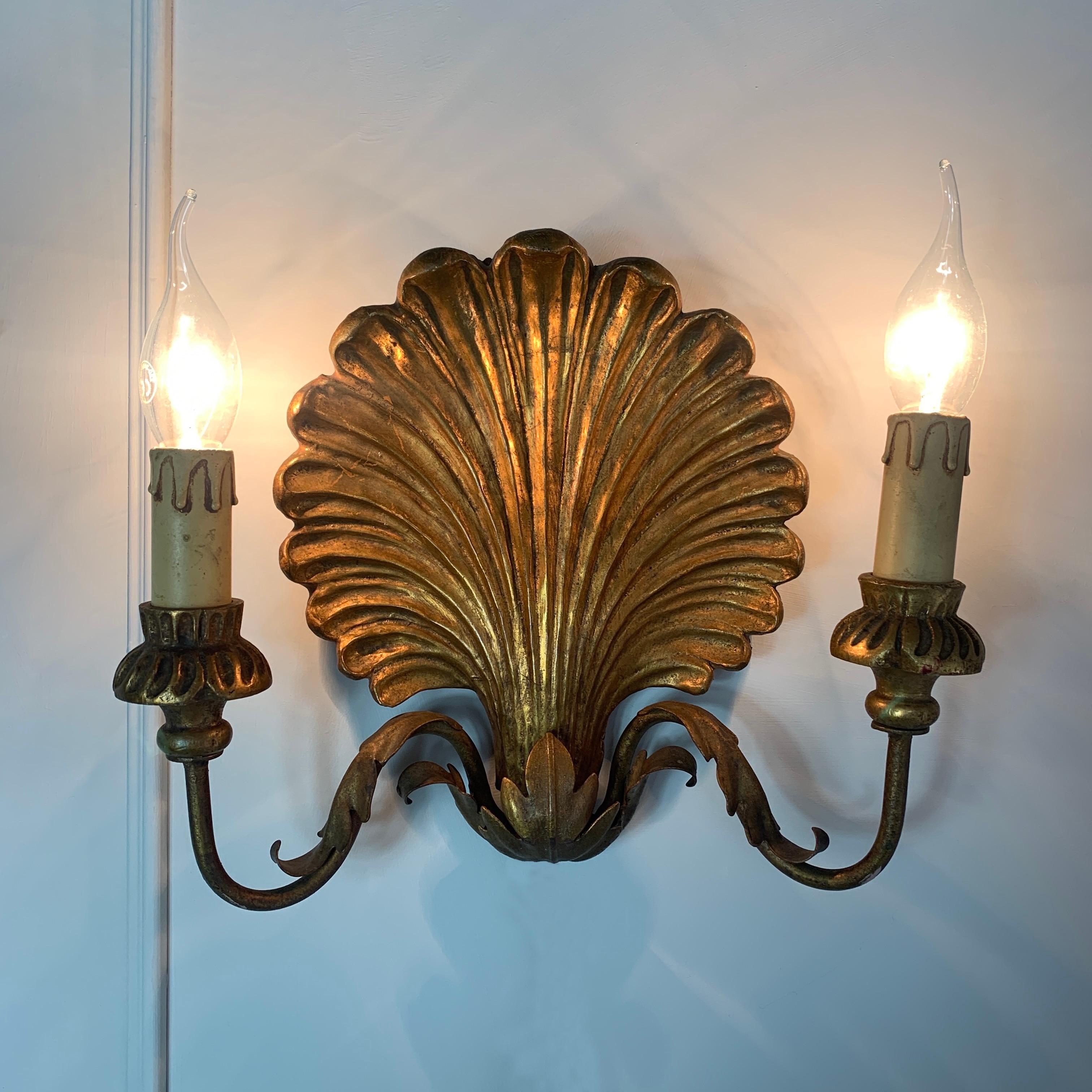 clam shell sconce
