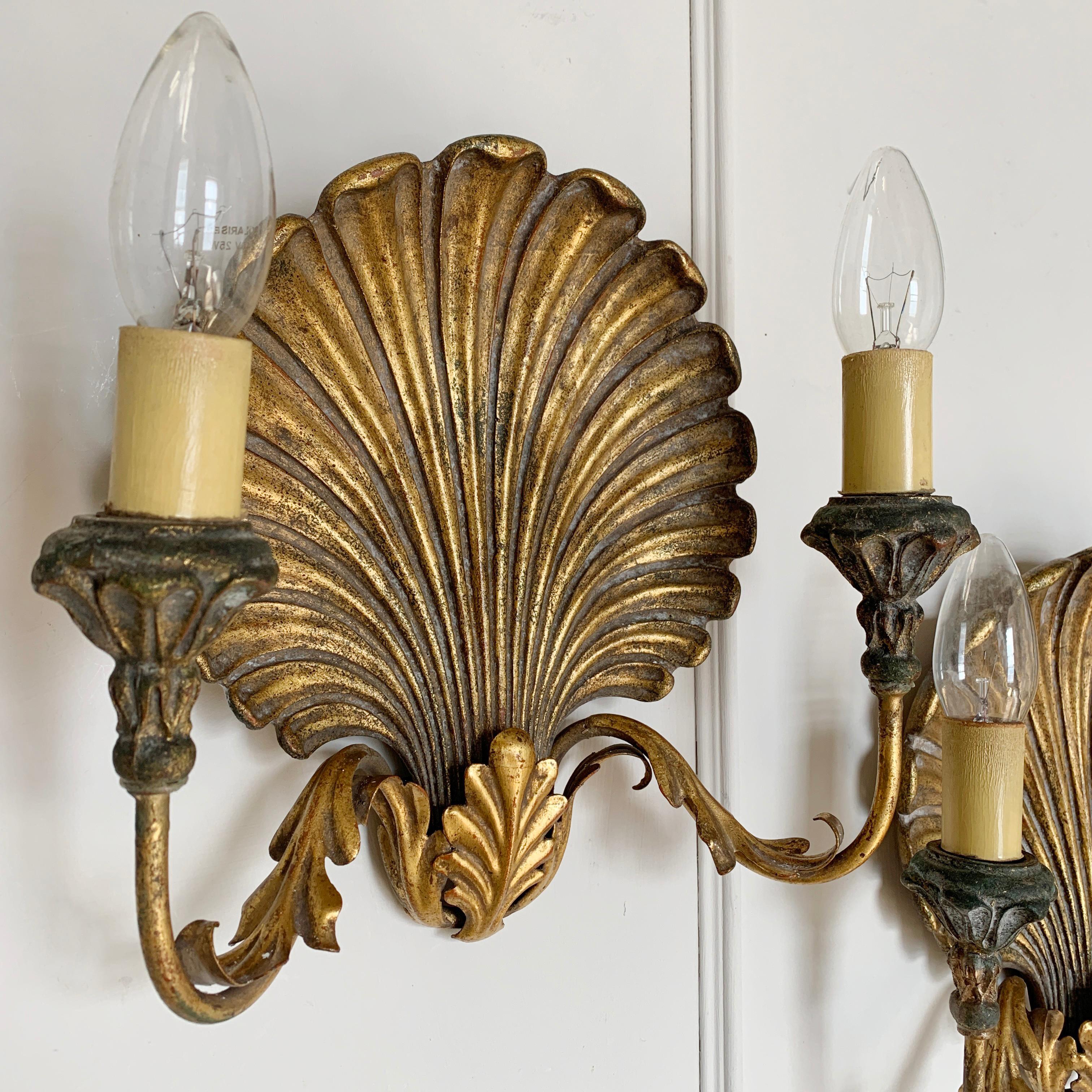 shell shaped wall lights
