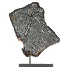 Pallasite Meteorite sur base en métal faite sur mesure