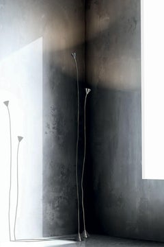 Pallucco Papiro Nickel Floor Lamp H 270 cm (106.3 in) – design Sergio Calatroni