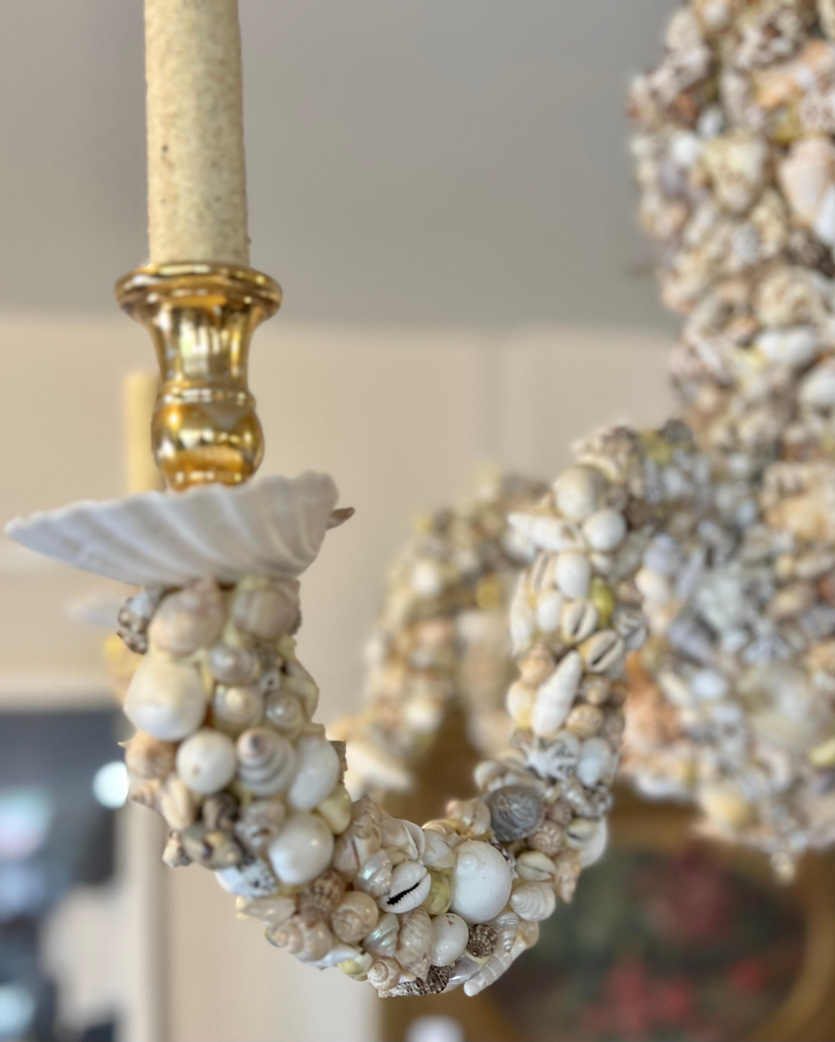 seashell chandelier