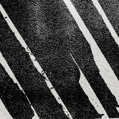 Palm Black & White Area Rug in Hand-Tufted Wool & Botanical Silk