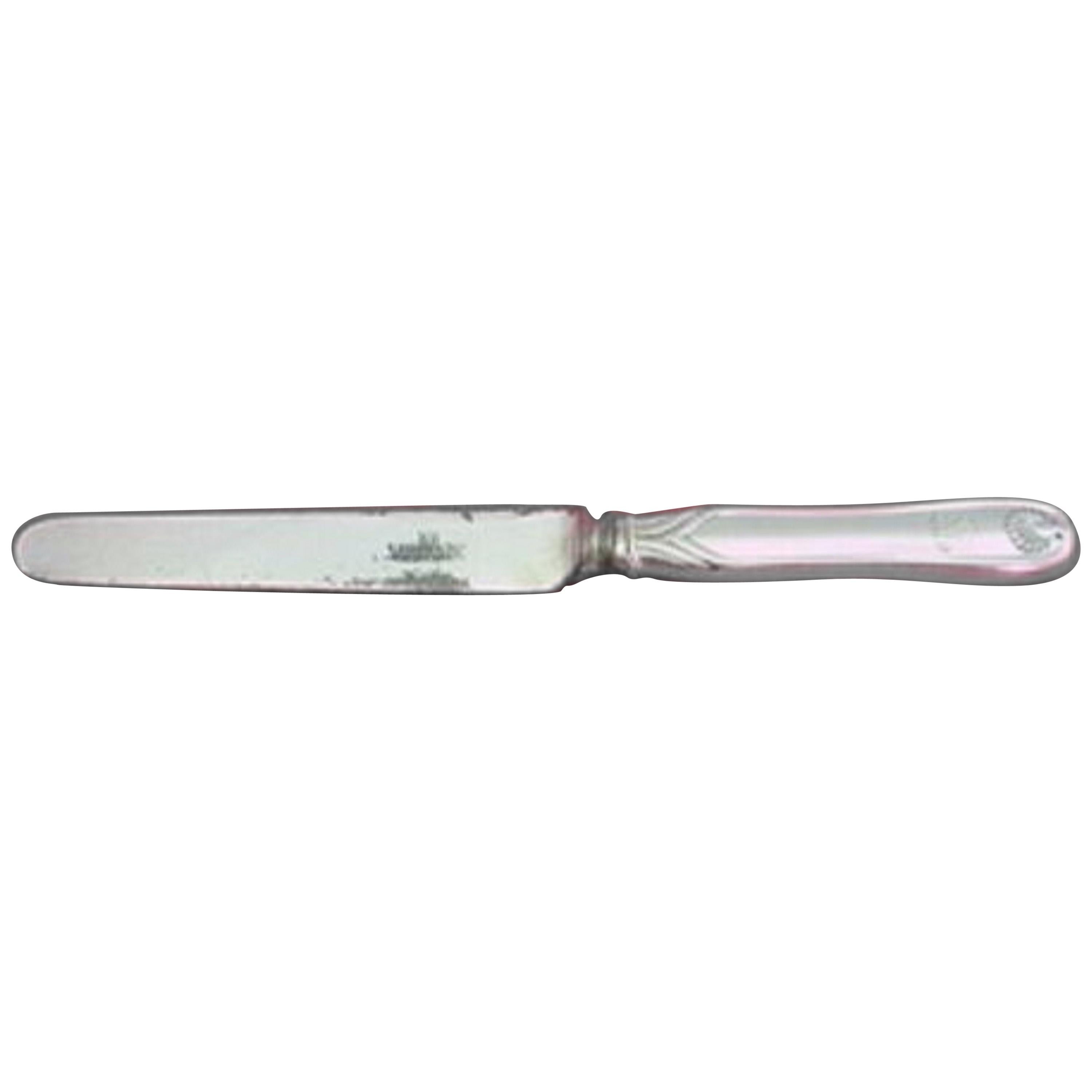 Palm by Tiffany & Co. Sterling Breakfast Knife HH SP