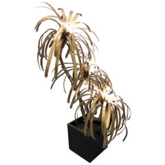 Palm Tree Lamp by Maison Jansen
