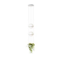 Palma LED Double Pendant Light + Planter in White by Antoni Arola