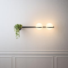 Palma LED Horizontal Double Wall Lamp & Planter in Charcoal Grey by Antoni Arola