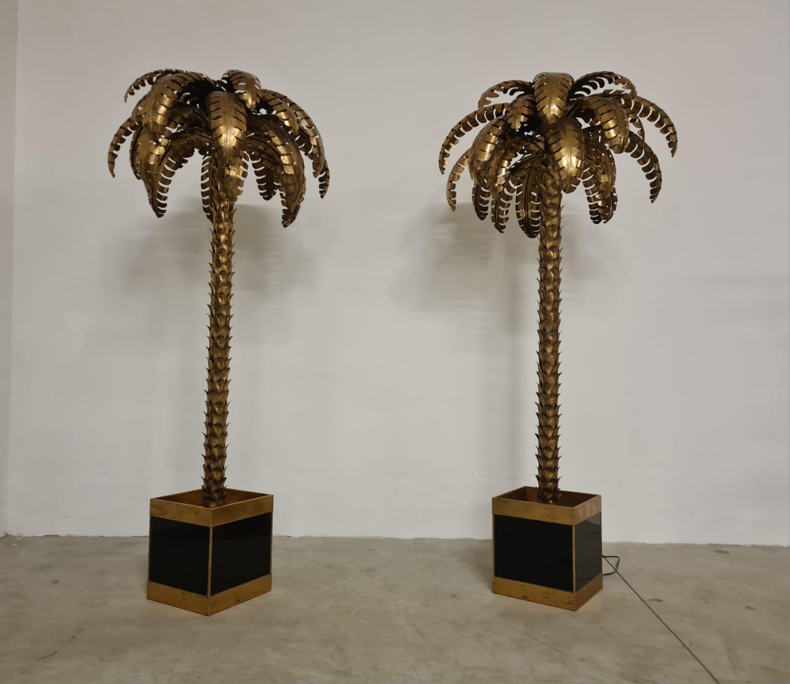 Palmenlampe von Maison Jansen.

Lichtpalme aus Messing mit schwarzem Glassockel.

Diese seltenen und exquisiten Palmen im Hollywood-Regency-Stil sind ideal, um Ihrer Umgebung einen Hauch von Stil und Eklektizismus zu verleihen.

Verfügbarkeit von 2