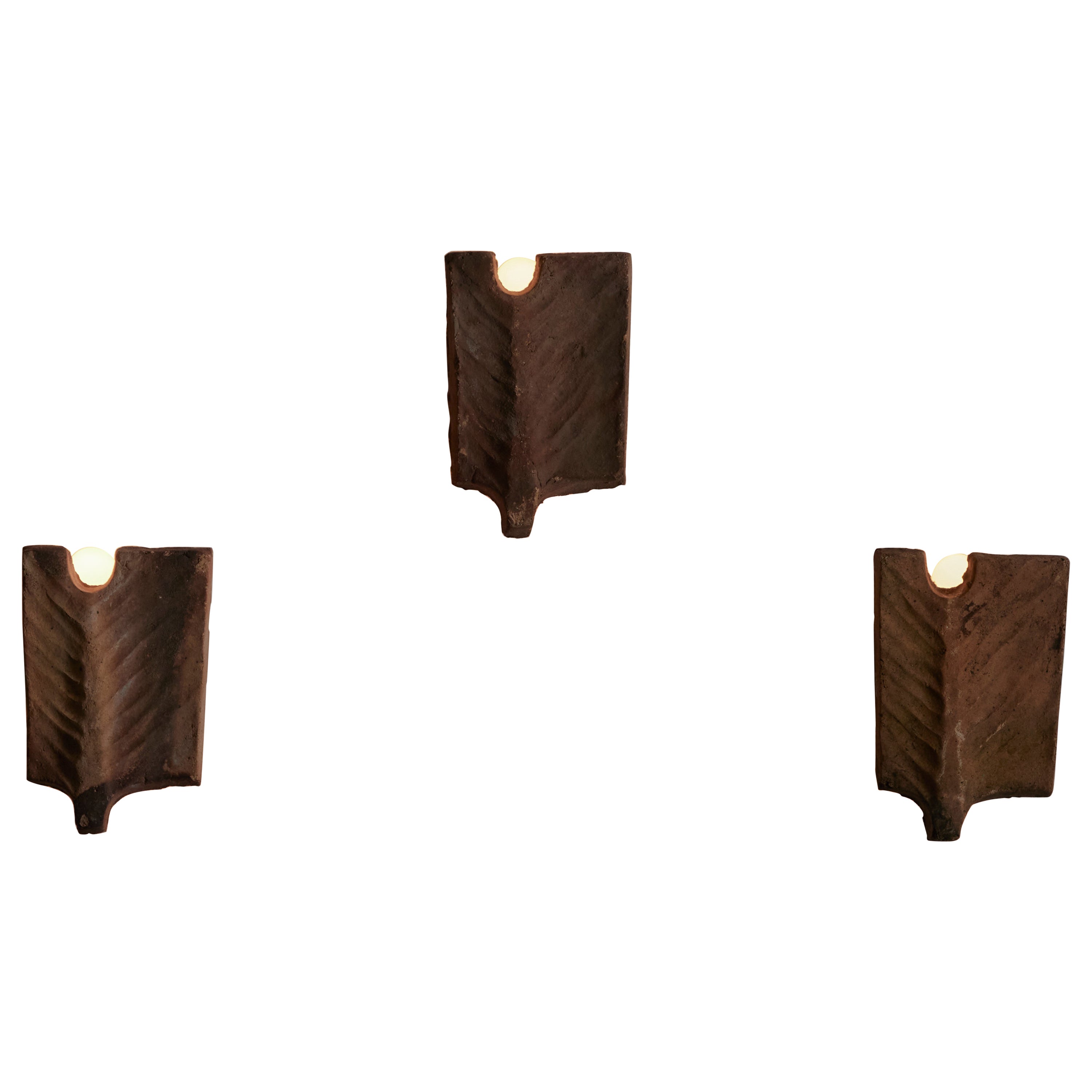 'Palme' Sconces by Georges Jouve for Jouve France