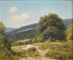 "A PATH IN THE HILLS OF TEXAS" TEXAS HILL COUNTRY  Framed:  25 x 29