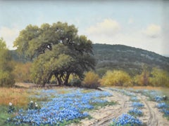 "BLUEBONNET TRAIL" TEXAS HILL COUNTRY