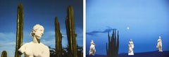 Delirio Exótico #10 and #12. Diptych. Digital Collage