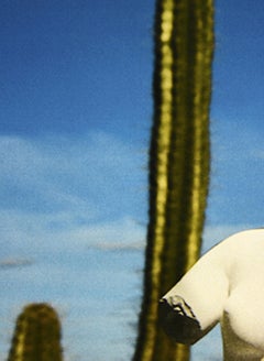 Delirio Exótico #12. Digital Photo Collage. Limited Edition Color Photograph