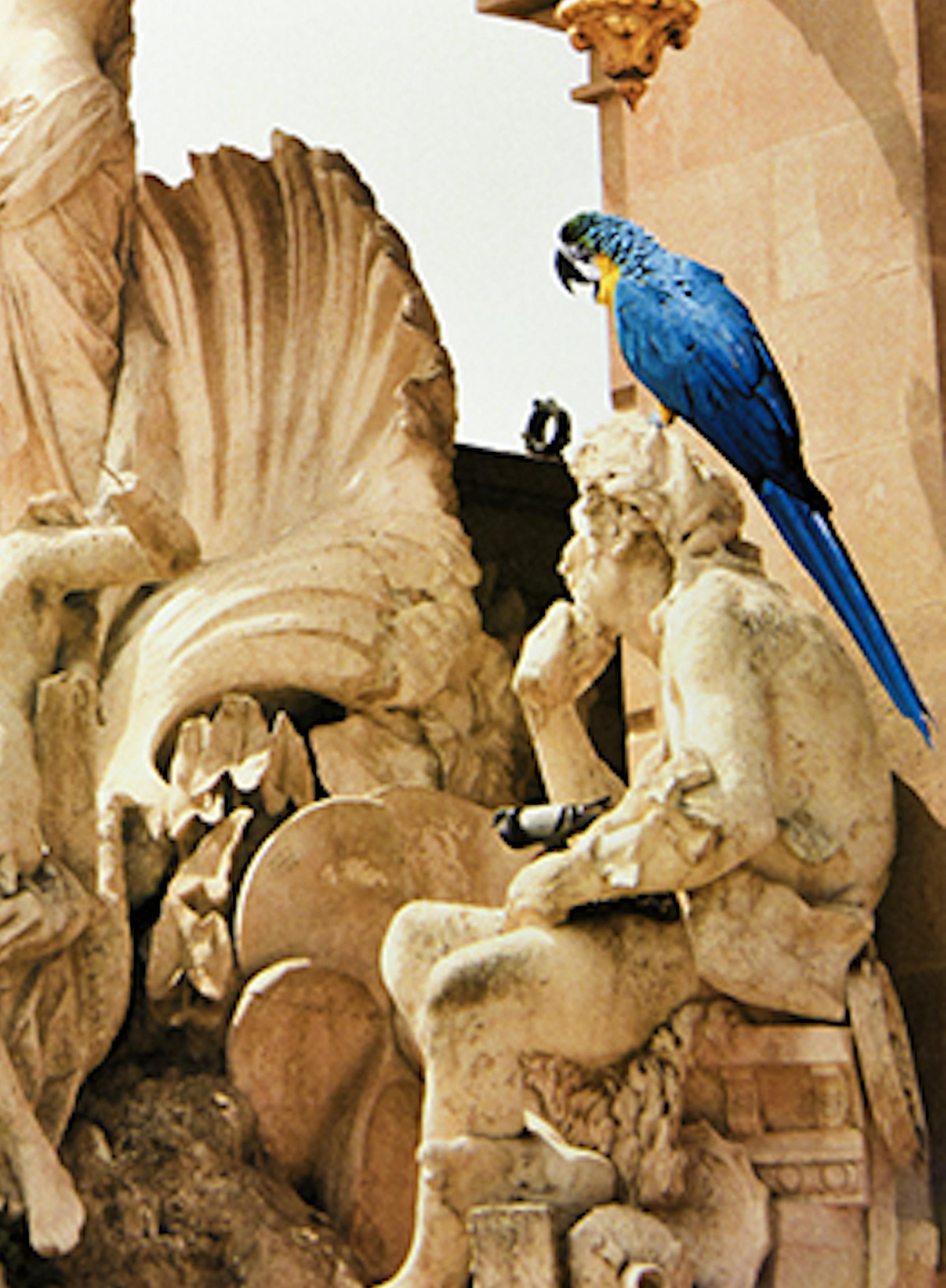 Delirio Exótico #15. Digital Collage. Limited Edition Color Photograph For Sale 1