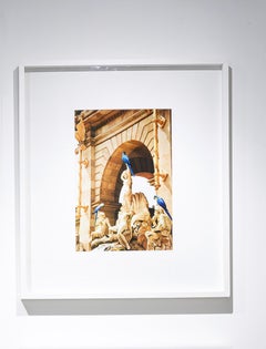 Delirio Exótico #15. Collage digitale. Fotografia a colori in edizione limitata