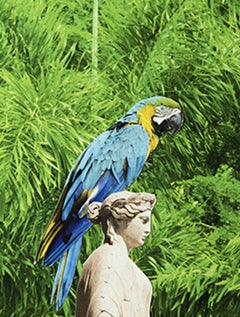 Delirio Exótico #16. Digital Collage. Limited Edition Color Photograph