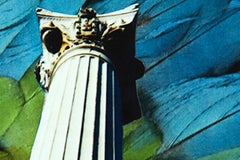 Delirio Exótico #2. Digital Collage. Limited Edition Color Photograph