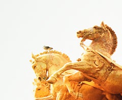 Delirio Exótico #3. Digital Collage. Limited Edition Color Photograph