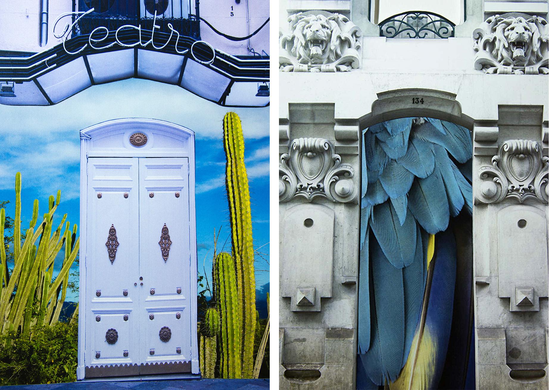 Delirio Exótico #9 and #13. Diptych. Digital Collage