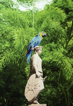 Delirio Exótico #16 - #6. Collage digitale. Fotografia a colori in edizione limitata