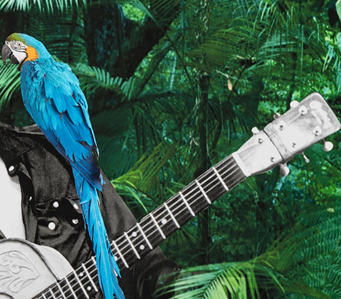 Elvis Presley, Tropischer Dschungel. Porträt. Digitale Collage-Farbfotografie (Schwarz), Portrait Photograph, von Paloma Castello