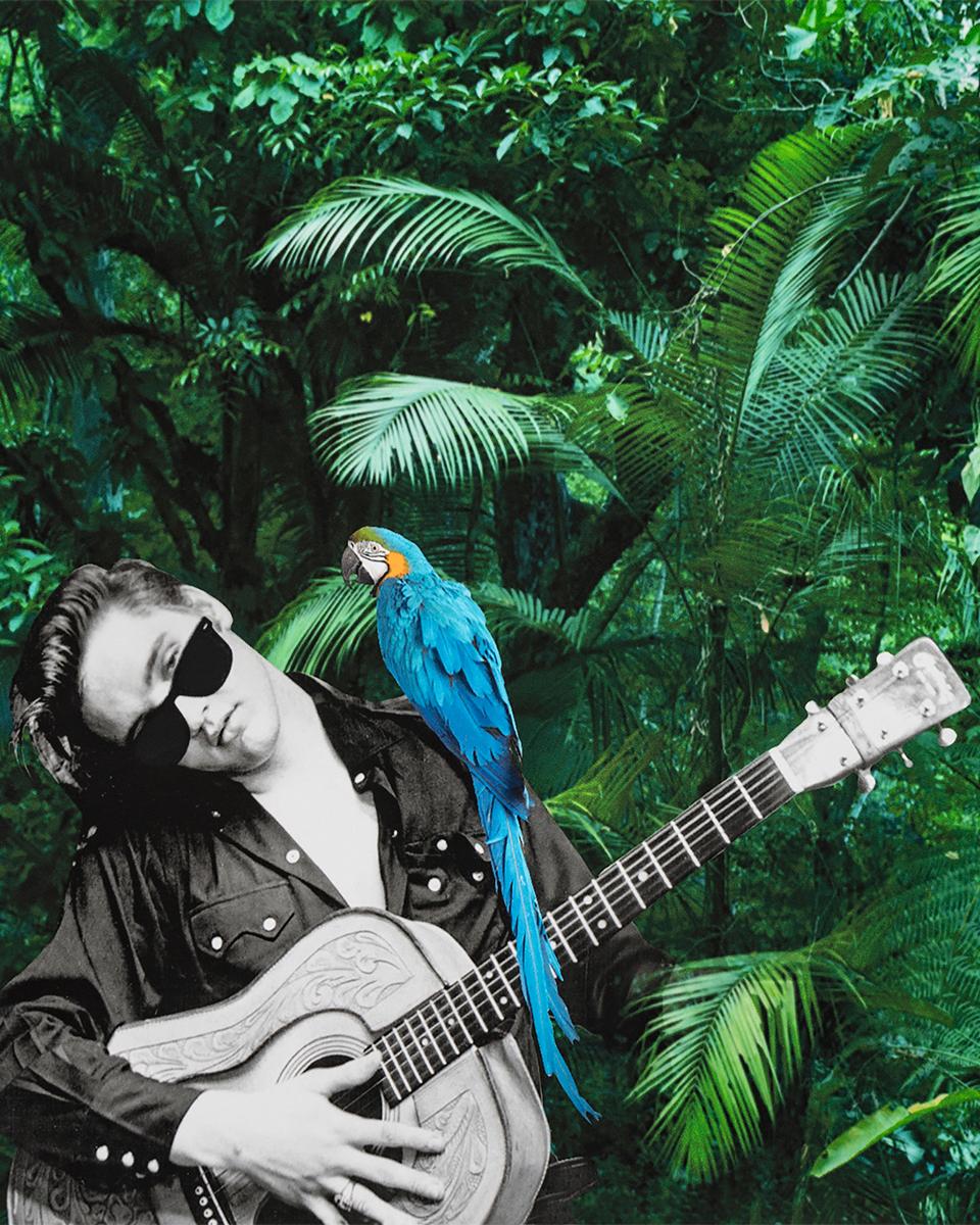 Paloma Castello Portrait Photograph – Elvis Presley, Tropischer Dschungel. Porträt. Digitale Collage-Farbfotografie