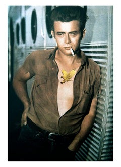 James Dean, The Castelloland series. Digital Collage. Color Photograph