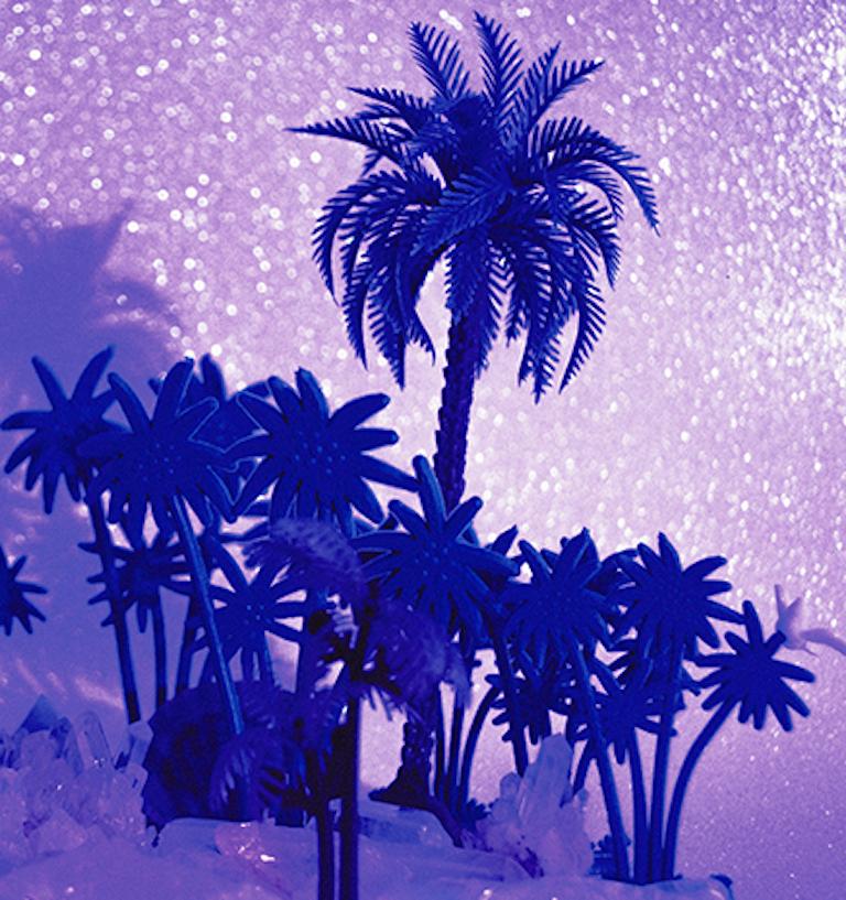 Tropicarios #6 by Paloma Castello
From Tropicarios series 
Digital photography print on chroma luxe.
33