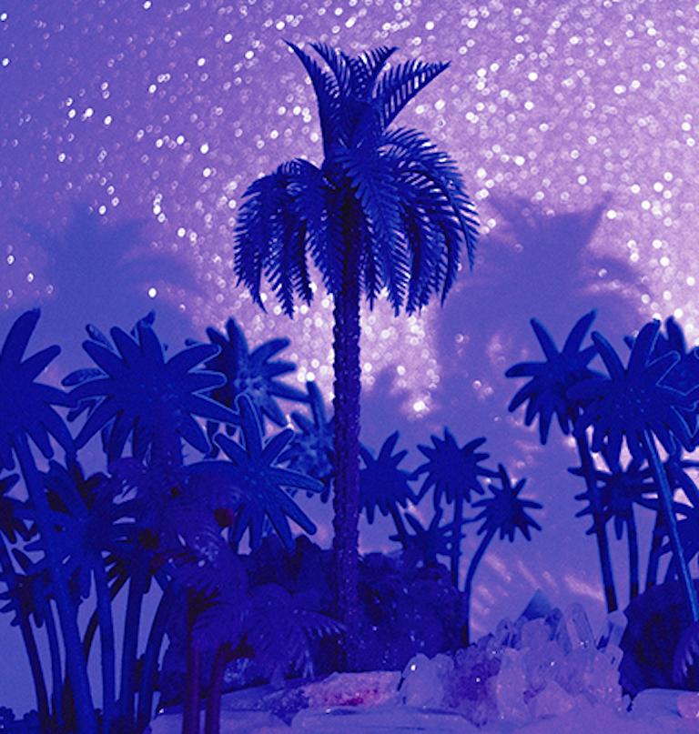 Tropicarios #6. Digital Collage. Limited Edition Color Photograph - Purple Still-Life Photograph by Paloma Castello