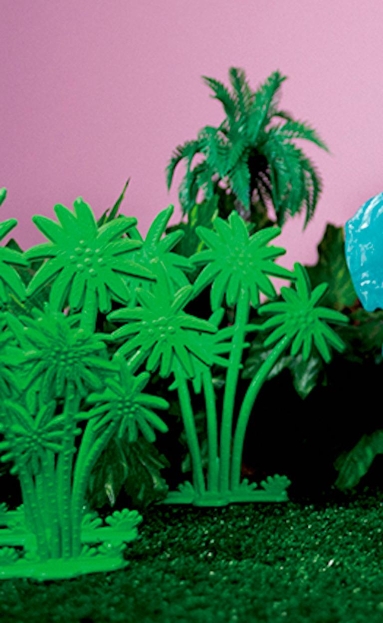 Tropicarios #5. Digital Collage. Limited Edition Color Photograph - Blue Still-Life Photograph by Paloma Castello