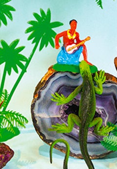 Tropicarios #8. Collage digital. Fotografía en color de edición limitada
