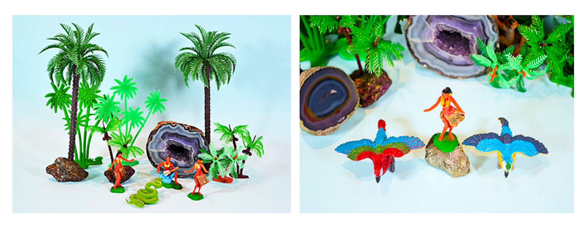 Tropicarios.  Installation. Limited Edition Digital Color Photography  For Sale 8