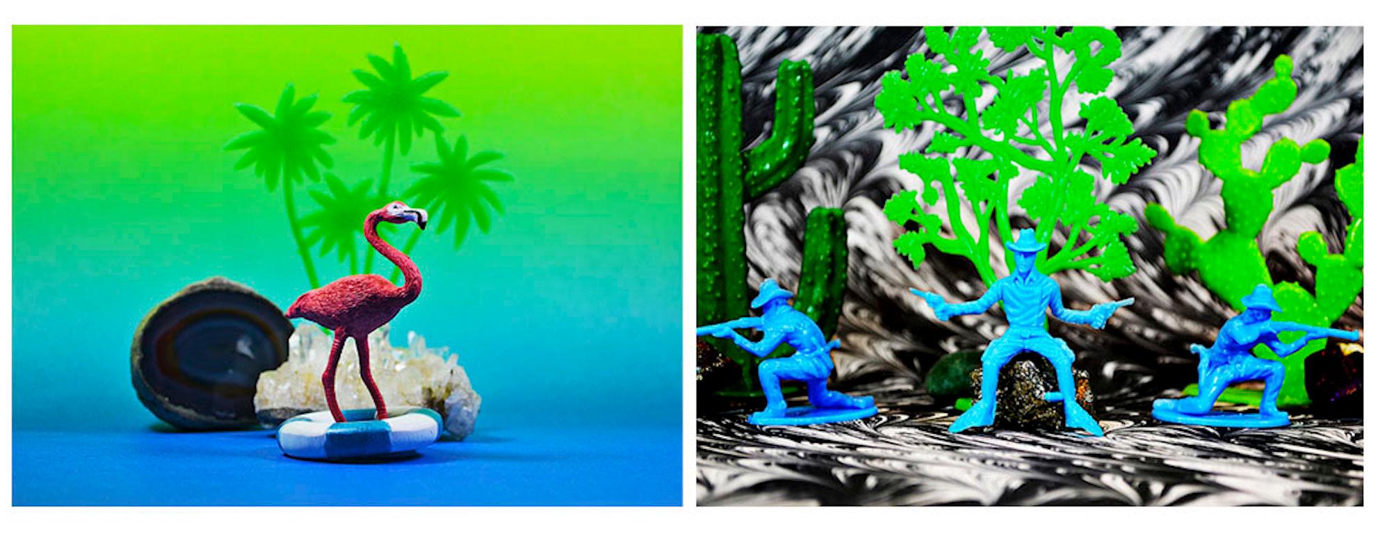Tropicarios.  Installation. Limited Edition Digital Color Photography  For Sale 9