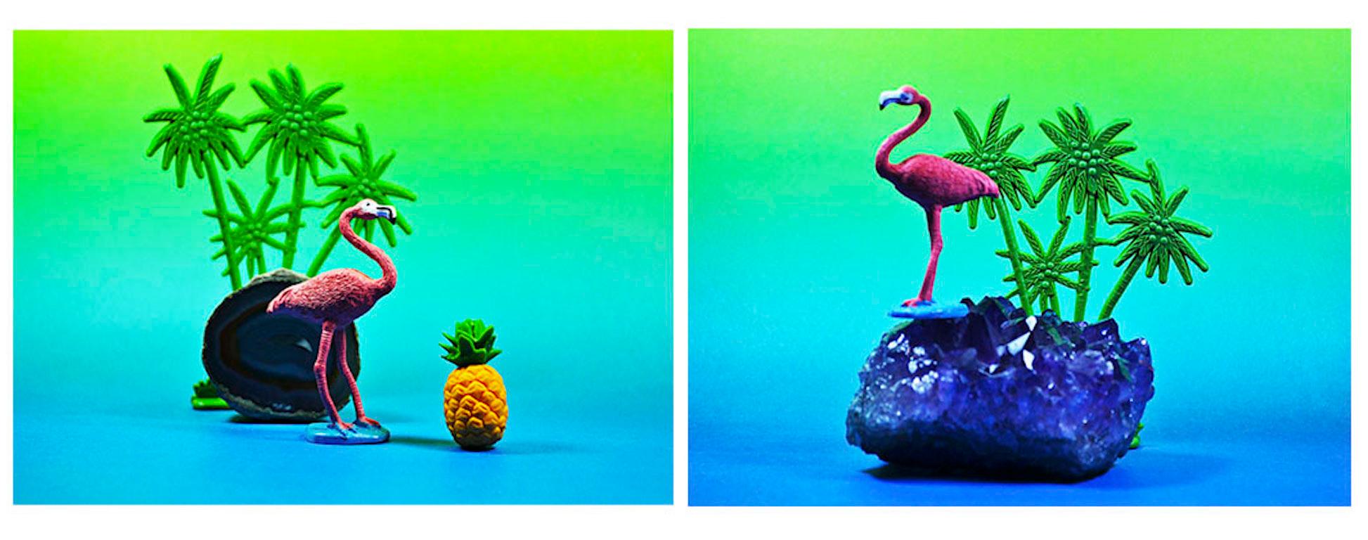 Tropicarios.  Installation. Limited Edition Digital Color Photography  For Sale 13