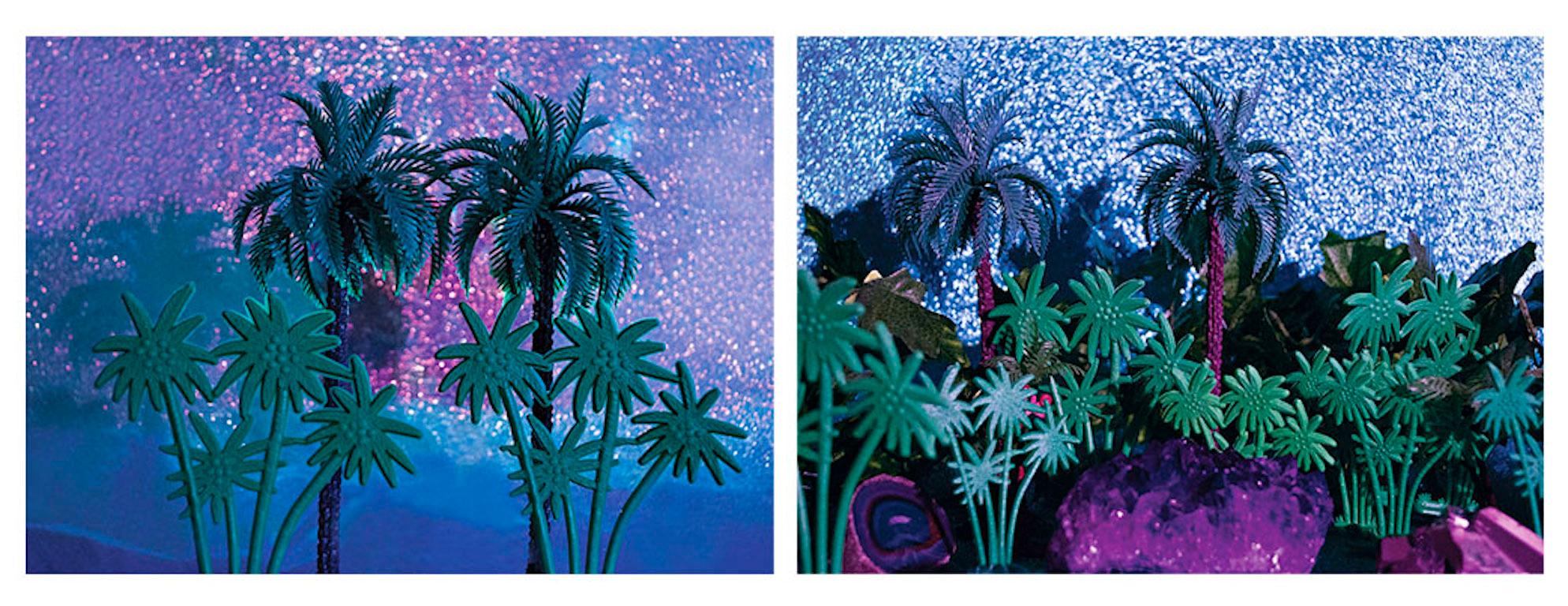 Tropicarios.  Instalación. Fotografía digital en color de edición limitada - Photograph de Paloma Castello