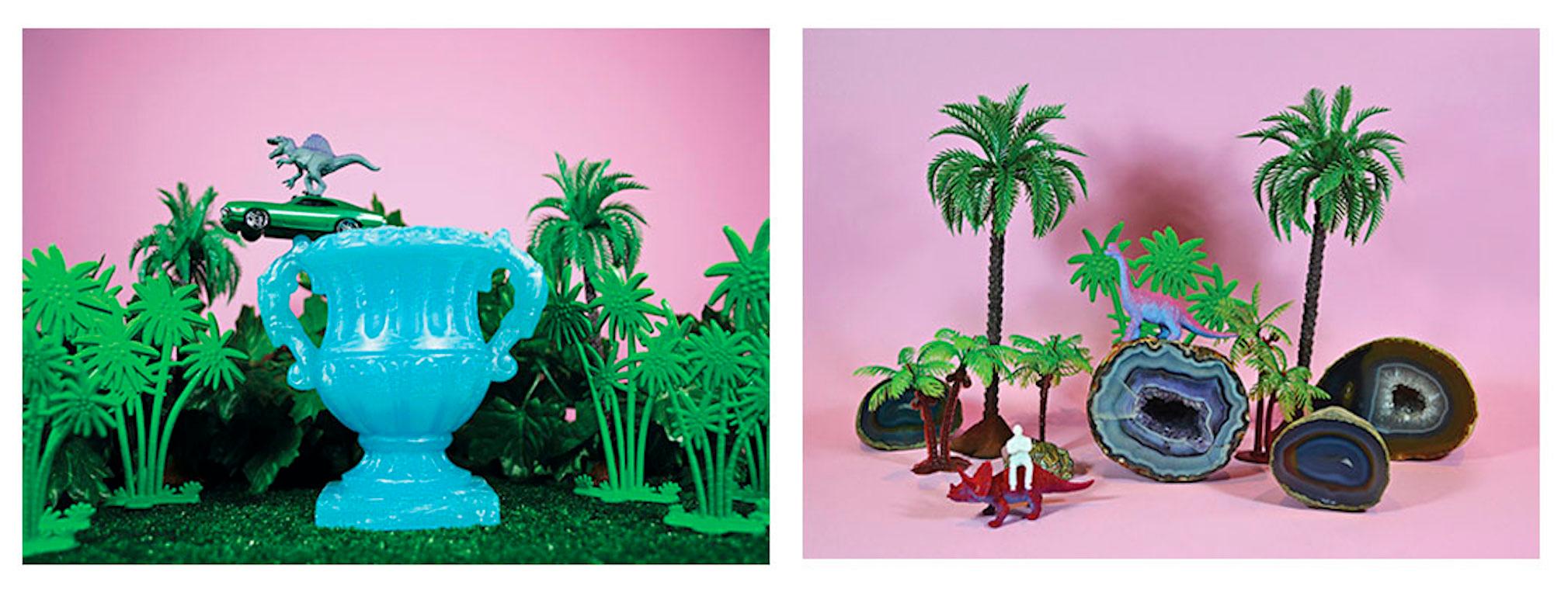 Tropicarios.  Installation. Limited Edition Digital Color Photography  For Sale 5