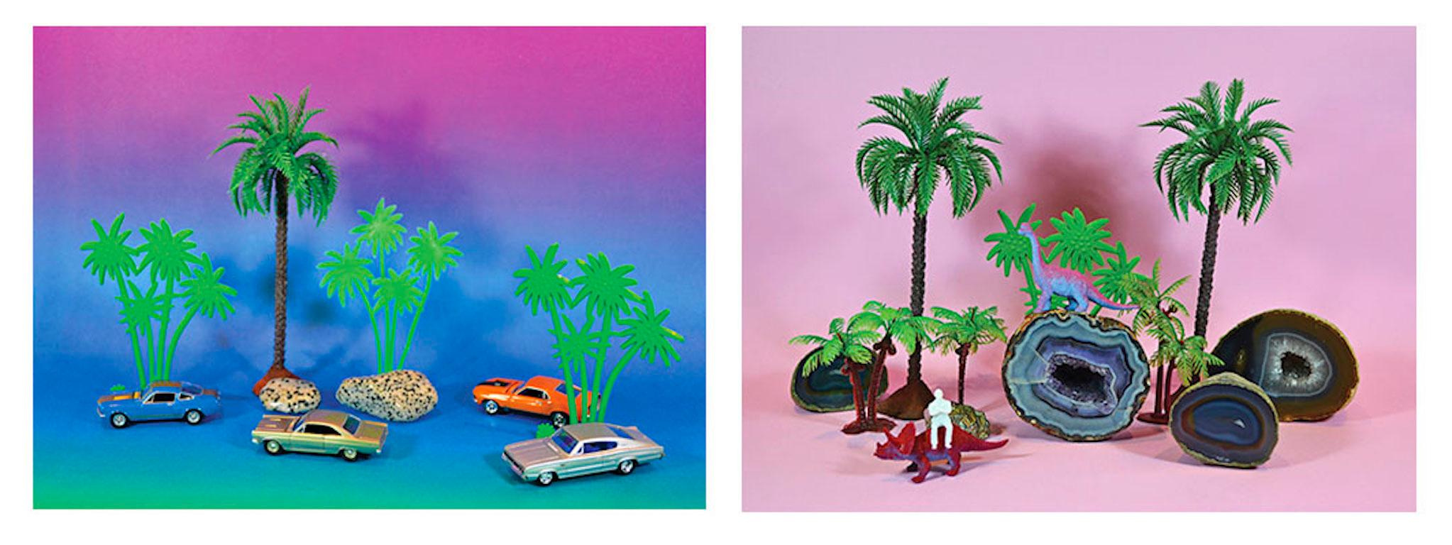 Tropicarios.  Installation. Limited Edition Digital Color Photography  For Sale 6