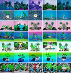 Tropicarios.  Installation. Limited Edition Digital Color Photography