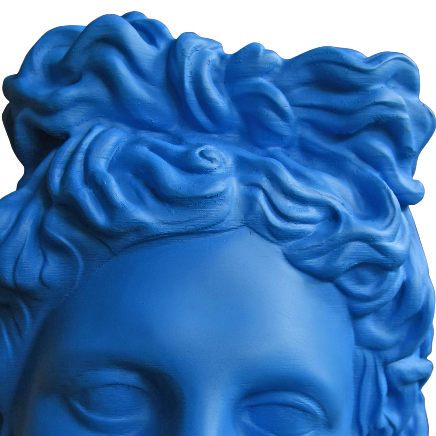 Apolo Blue. Head Sculpture. From the series Apolo For Sale 8