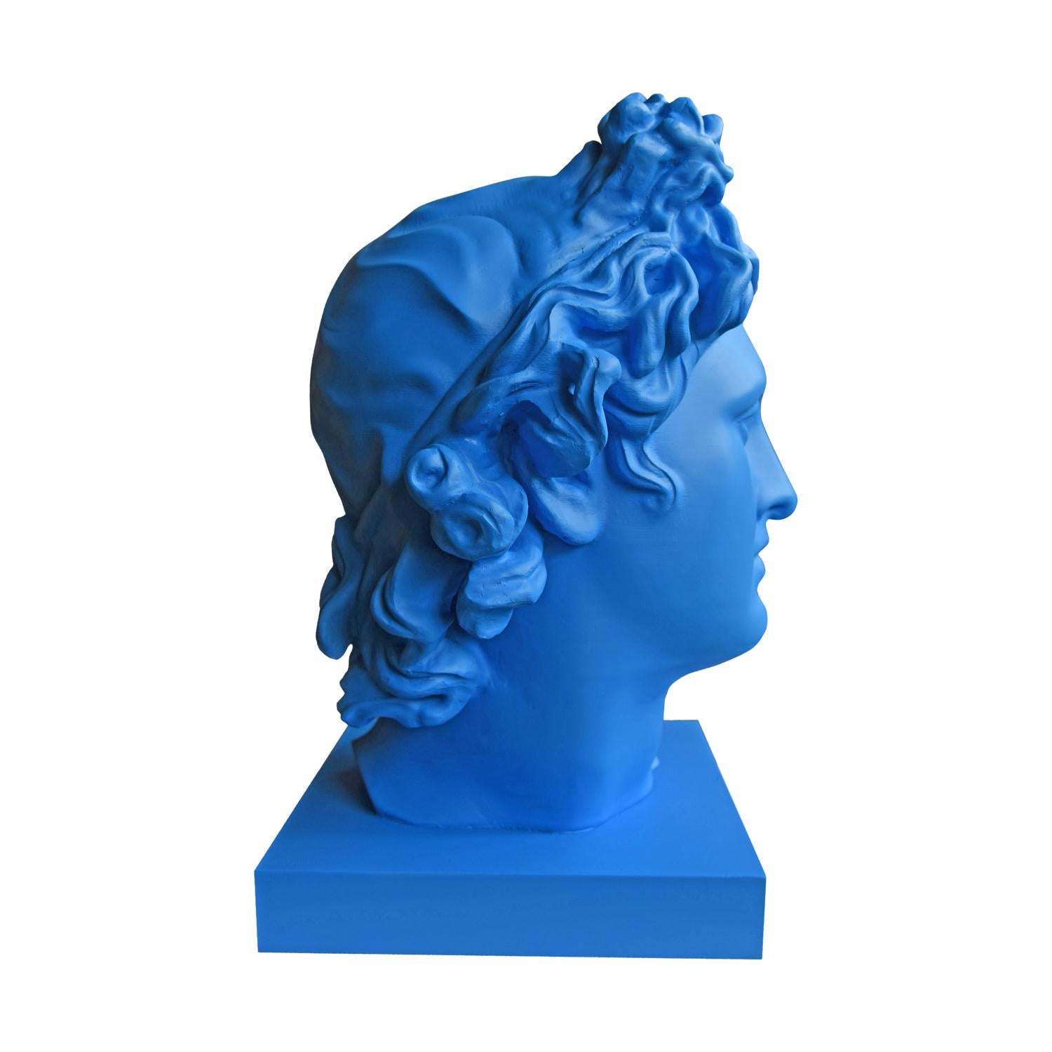 Apolo Blue. Head Sculpture. From the series Apolo For Sale 4