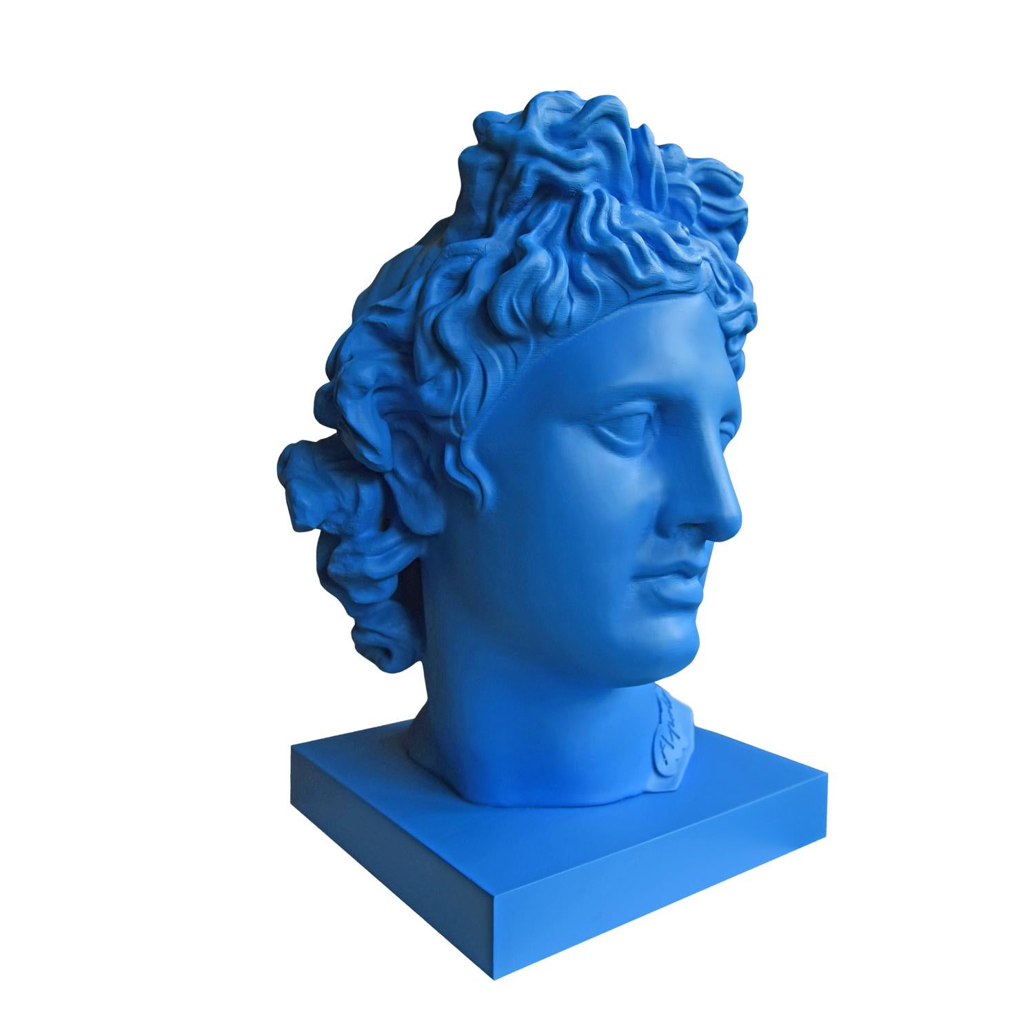 Apolo Blue. Head Sculpture. From the series Apolo For Sale 6
