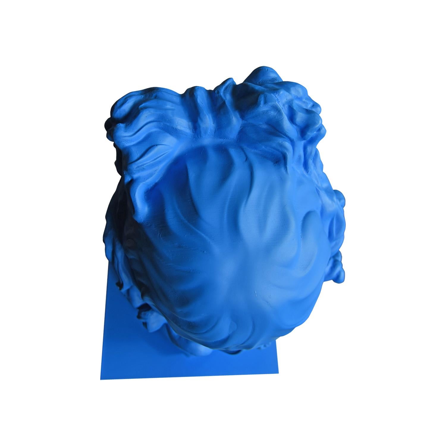 Apolo Blue. Head Sculpture. From the series Apolo For Sale 7