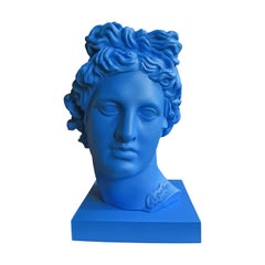 Apolo Blue. Scultura della testa. Dalla serie Apolo