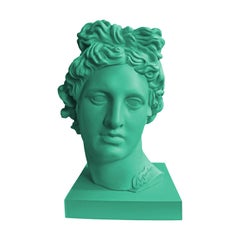 Apolo Greene & Greene. Scultura della testa. Dalla serie Apolo
